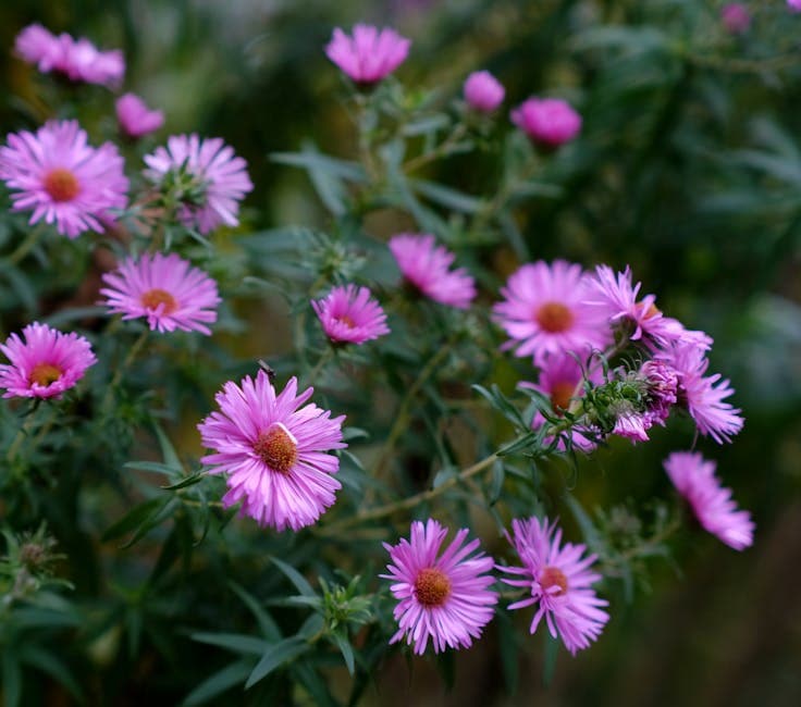 Sample Villa S - Kamala - Image 8