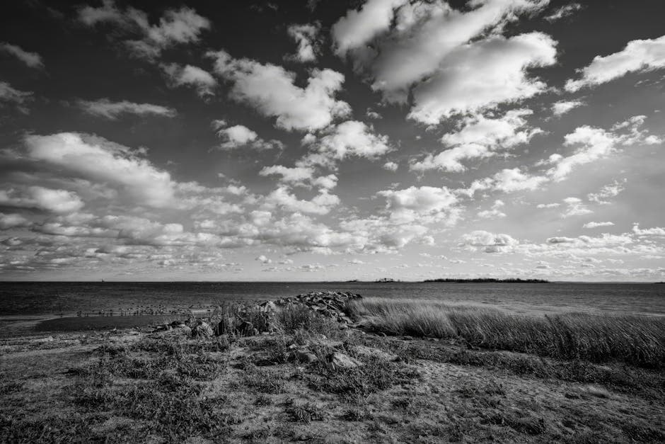 Sample Land N - Sathon - Image 2